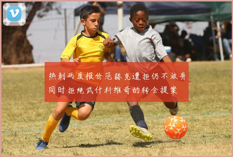 热刺两度报价范赫克遭拒仍不放弃同时拒绝武什科维奇的转会提案