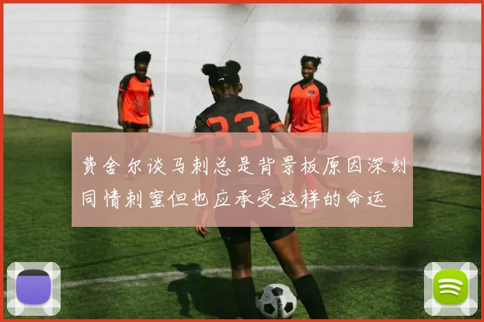 费舍尔谈马刺总是背景板原因深刻同情刺蜜但也应承受这样的命运